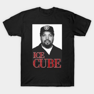 ice cube T-Shirt